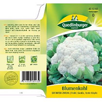 Blumenkohl-Samen Sorte: Erfurter Zwerg von Quedlinburger