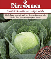 Wei�kohl (Saatgut) Sorte: Marner Lagerwei� von D�rr Samen