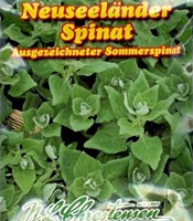 Neuseelnder Spinat (Samen) von Chrestensen