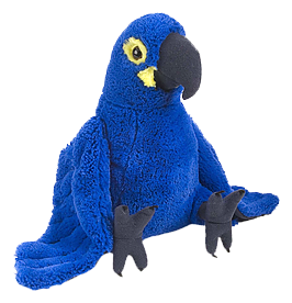 Papagei Macaw