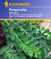 Pimpinelle (Samen) Sanguisorba minor