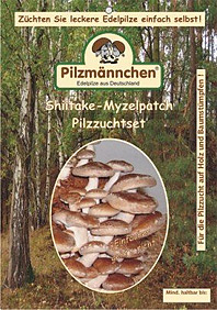 Shiitake-Myzelpatch Pilzzuchtset von Pilzmnnchen®
