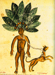 Die Alraunen-Wurzel - Zeichnung aus einem uralten Buch