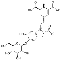 Betanin - Chemische Strukturformel