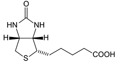 Biotin - Chemische Strukturformel