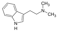 Dimethyl-Tryptamin - Chemische Strukturformel