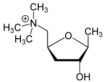 Muscarin - Chemische Strukturformel