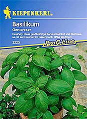 Basilikum-Samen Genoveser