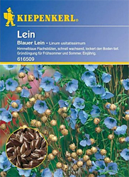 Blauer Lein - Saatgut Linum usitatissimum Gründünger für den Garten