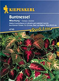 Buntnessel-Mischung - Samen