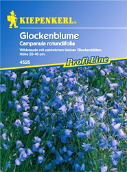 Glockenblume (Samen) Campanula rotundifolia