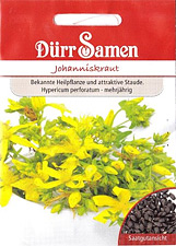 Johanniskraut (Samen) Hypericum perforatum Heilkräuter-Saatgut von Dürr