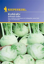 Kohlrabi (Samen) - Delikatess weißer