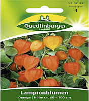 Lampionblume (Samen) Sorte: Physalis alkekengi von Quedlinburger