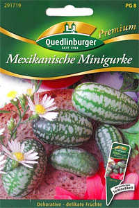 Mexikanische Mini-Gurke Melothria scabra (Samen)