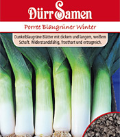 Porree/Lauch (Samen) Sorte: Blaugrüner Winter von DürrSamen