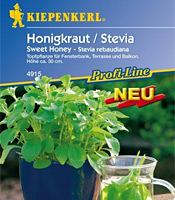 Stevia - Honigkraut (Saatgut) von Kiepenkerl