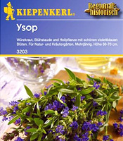 Ysop (Samen) von Kiepenkerl