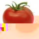 tomatenallergie