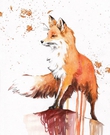 Foxxxy Foxxxy