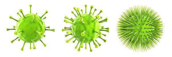 Viren und Bakterien fürchten die Autophagie