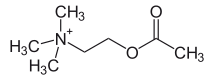 Acetylcholin - Chemische Strukturformel